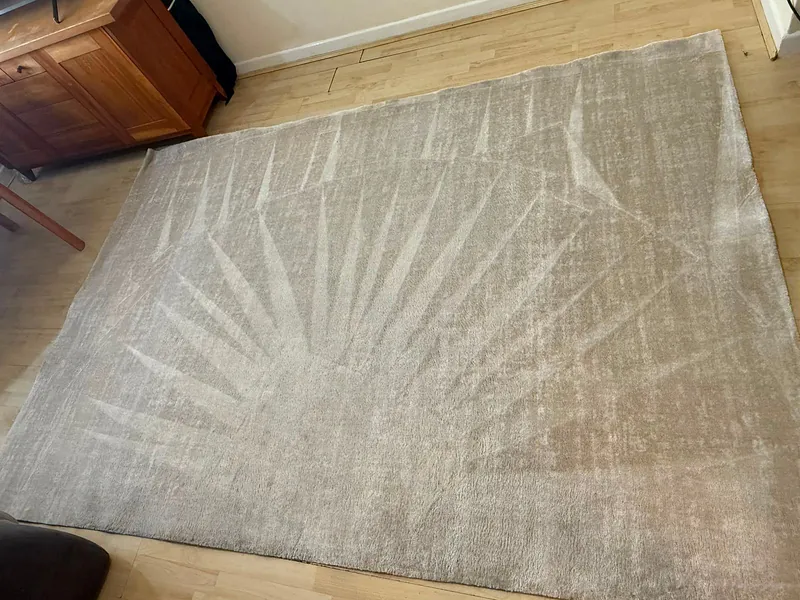 Carpet after cleaning
