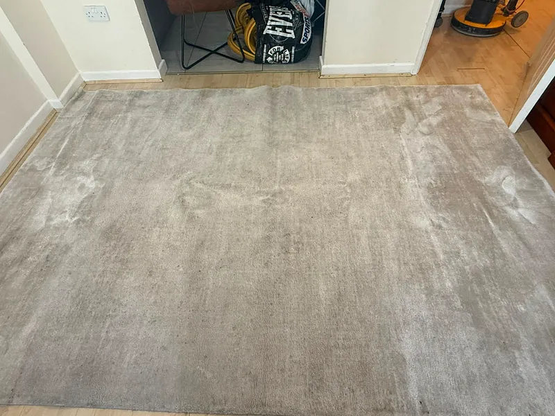 Carpet before cleaning