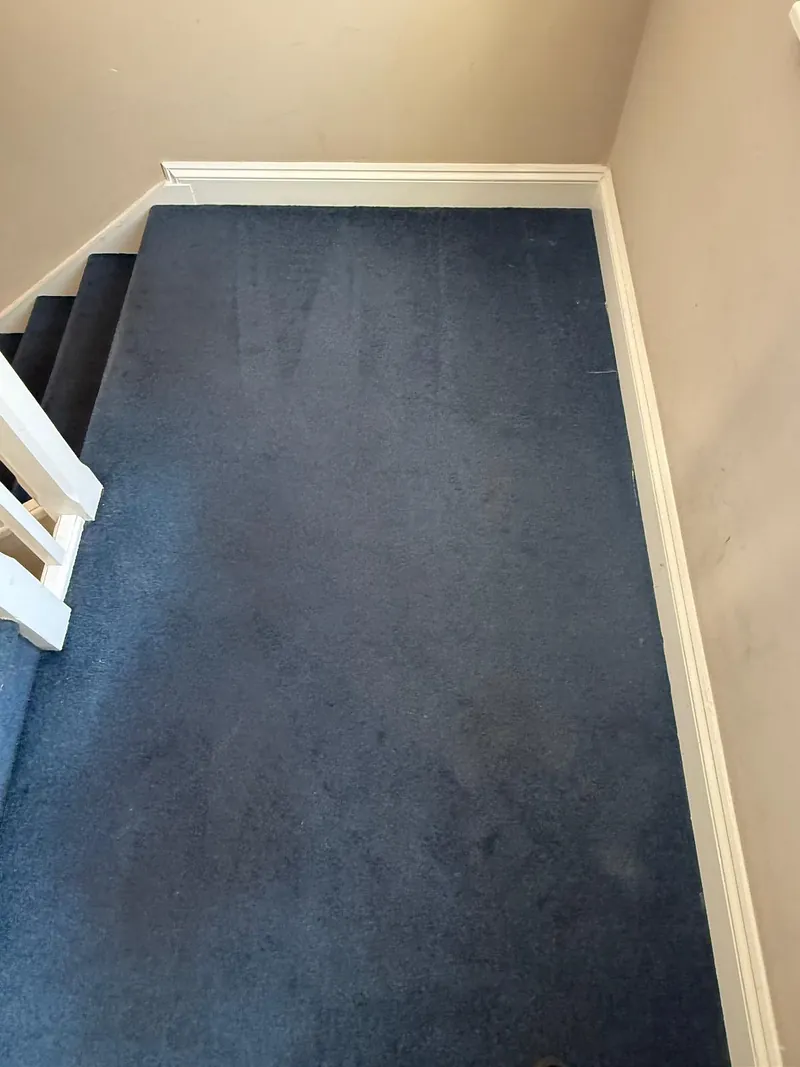 Bedroom carpet after cleaning