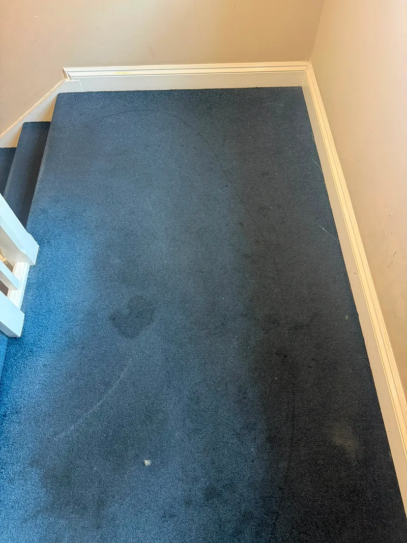 Bedroom carpet before cleaning