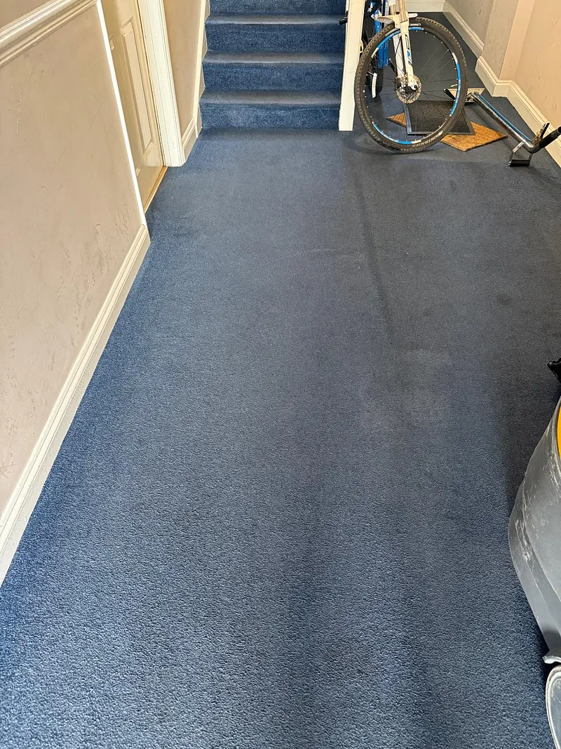 Dining room carpet after cleaning