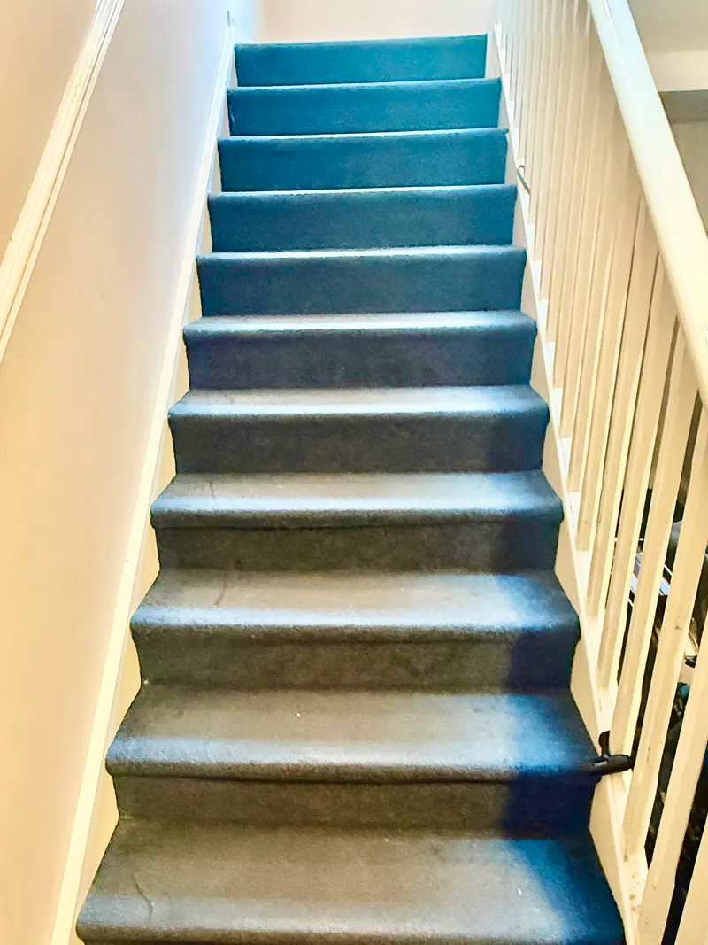 Carpet stairs before cleaning